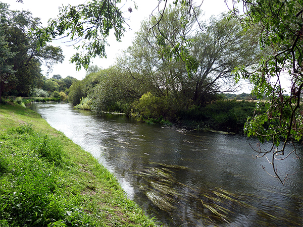 Stour Valley River